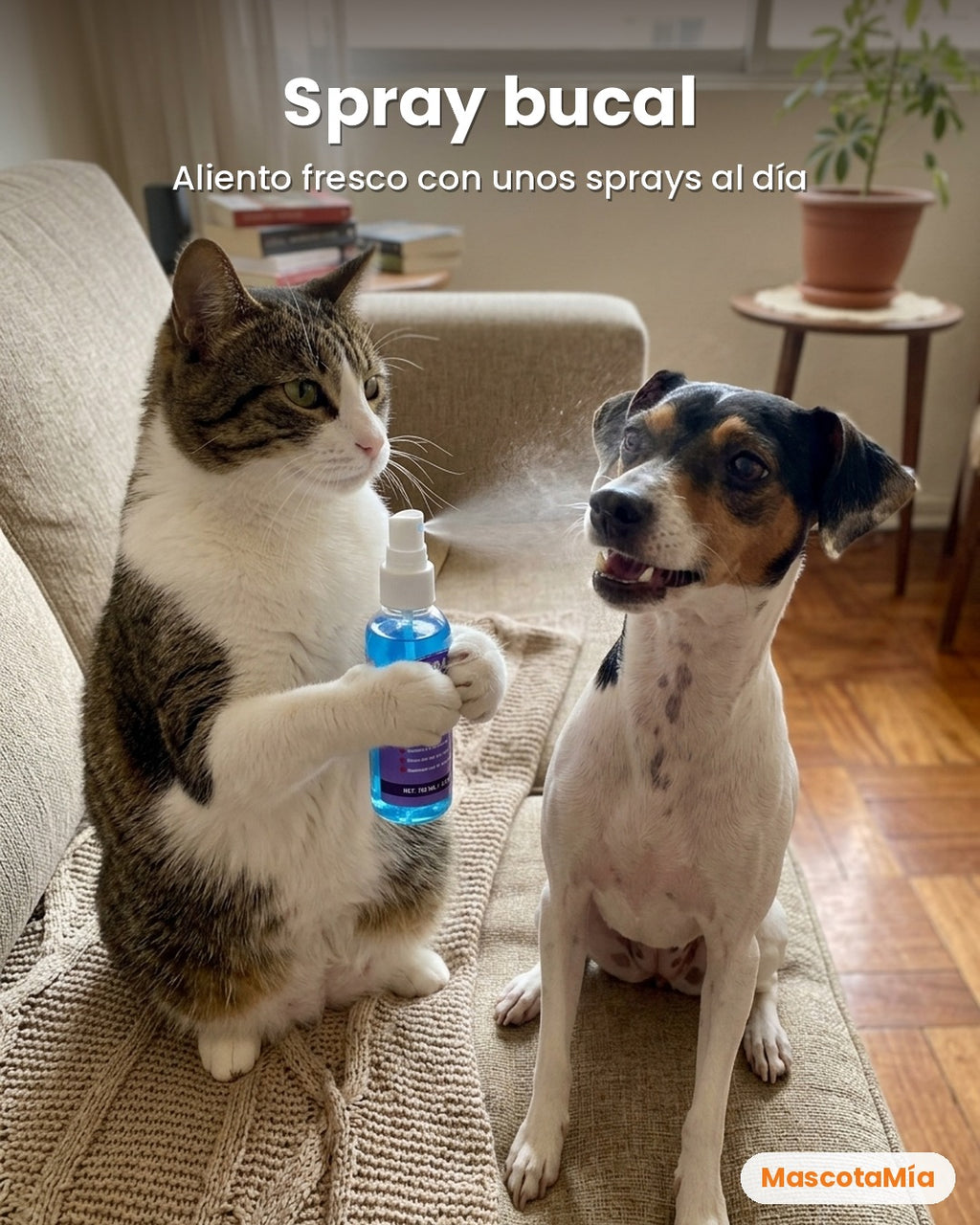 Spray Bucal Oral Pet 100 ml – Perros y Gatos